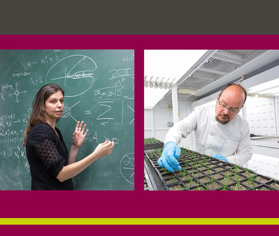 Banner for the event that shows staff and students from different FoNS departments at work - writing at chalk boards, having discussions in seminars and in the lab