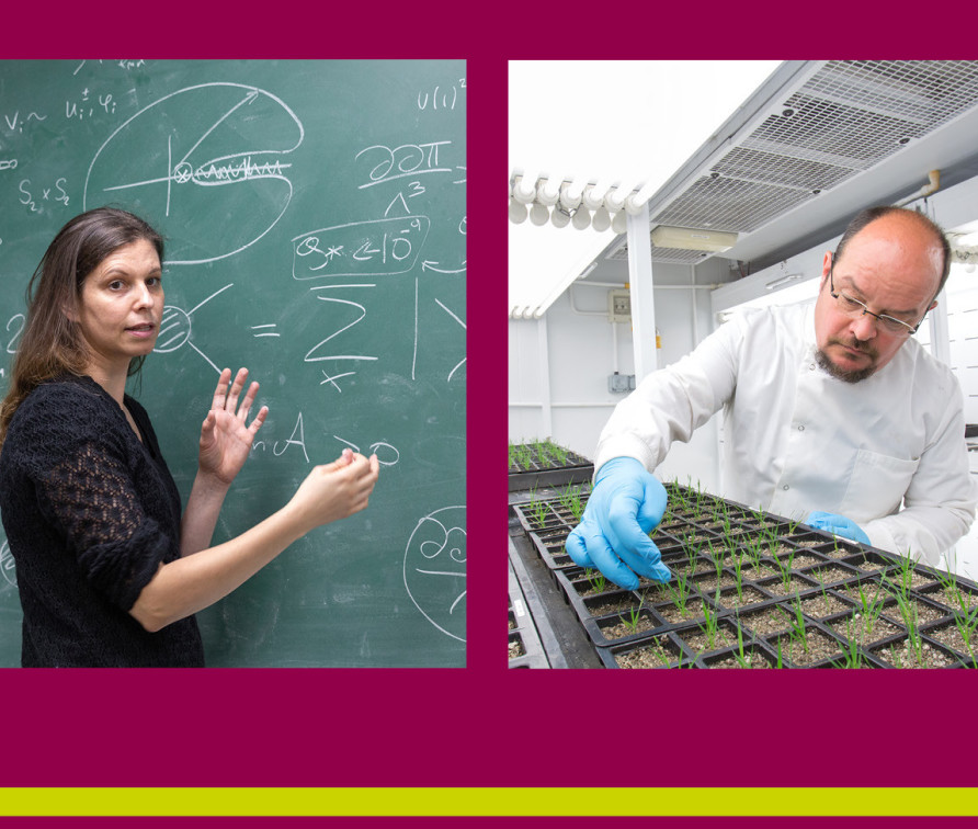 Banner for the event that shows staff and students from different FoNS departments at work - writing at chalk boards, having discussions in seminars and in the lab