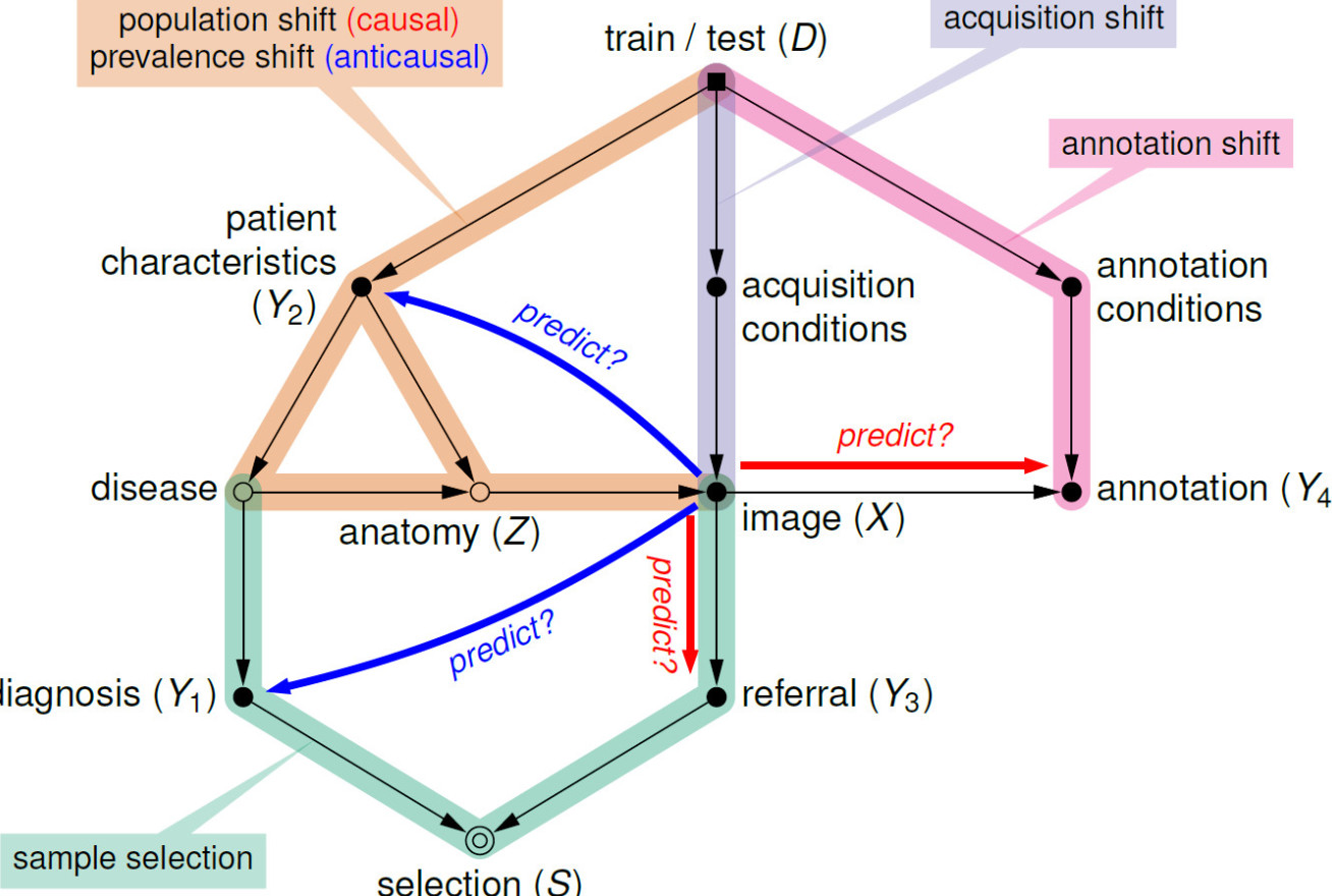 A ‘scaffold’ causal diagram summarising typical medical imaging workflows 