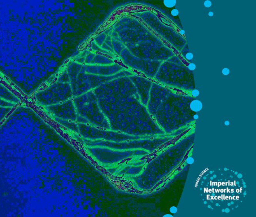 green image of a fungi on blue background; featuring our Network's logo showing we are a Network of Excellence