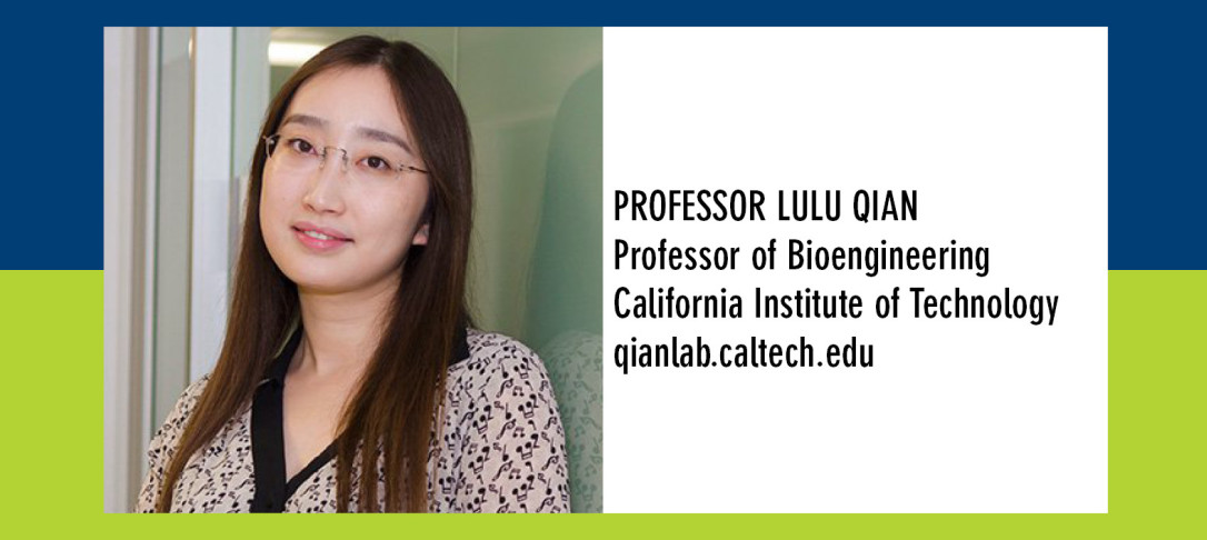Portrait of Prof Lulu Qian