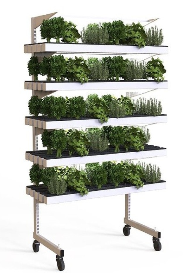 A hydroponics system for growing plants without soil