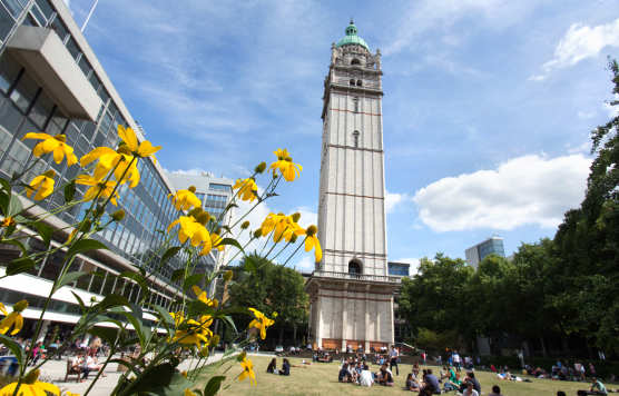 Queen's lawn and Tower
