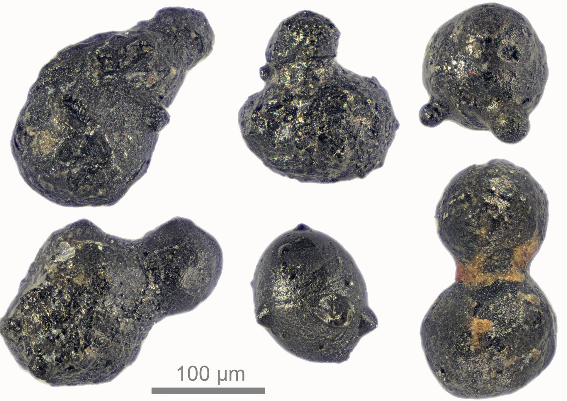 Photo of six micrometeorites up close, measuring around 200 micrometres across
