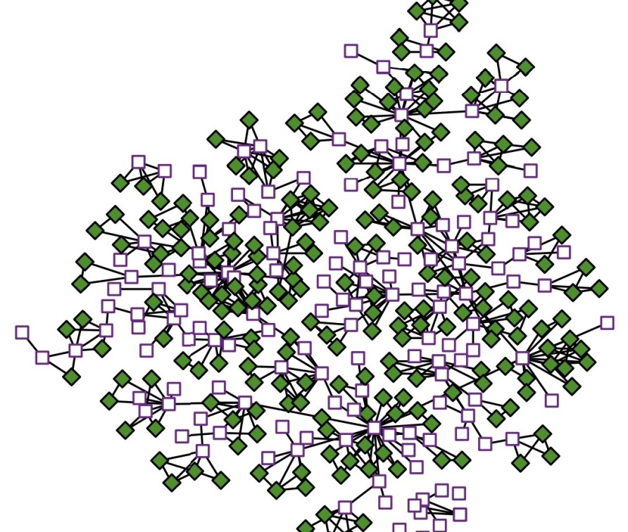 convex skeleton of the network scientists coauthorship network
