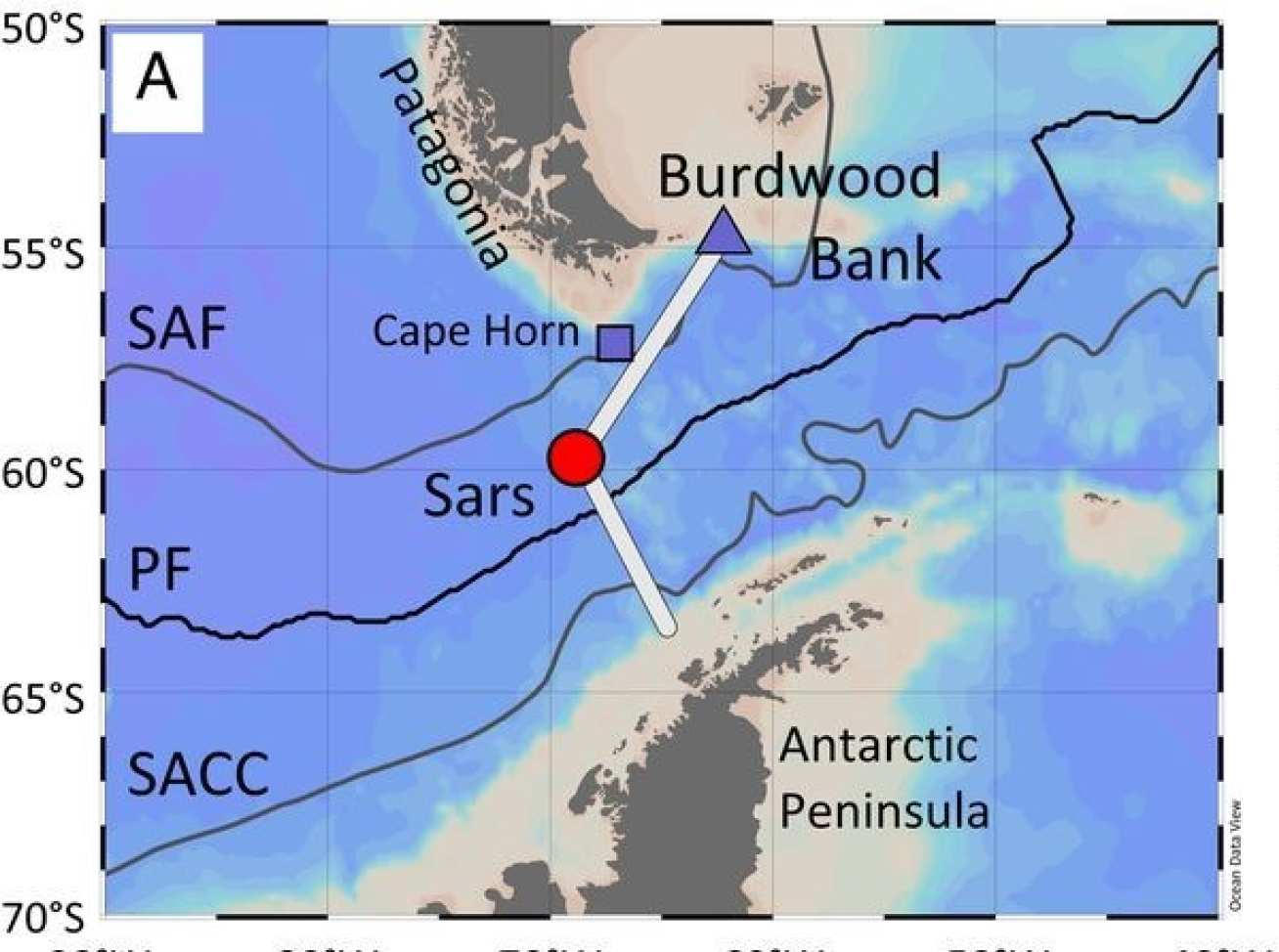 Map of Drake Passage coral sampling locations at Sars Seamount (red), Cape Horn, and Burdwood Bank (blue). Thin gray and black lines indicate the mean positions of the Subantarctic Front, the Polar Front, and the Southern ACC front. Shown is the southernmost tip of South America, and Antarctica