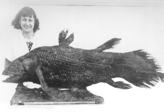 Marjorie Courtenay-Latimer and coelacanth