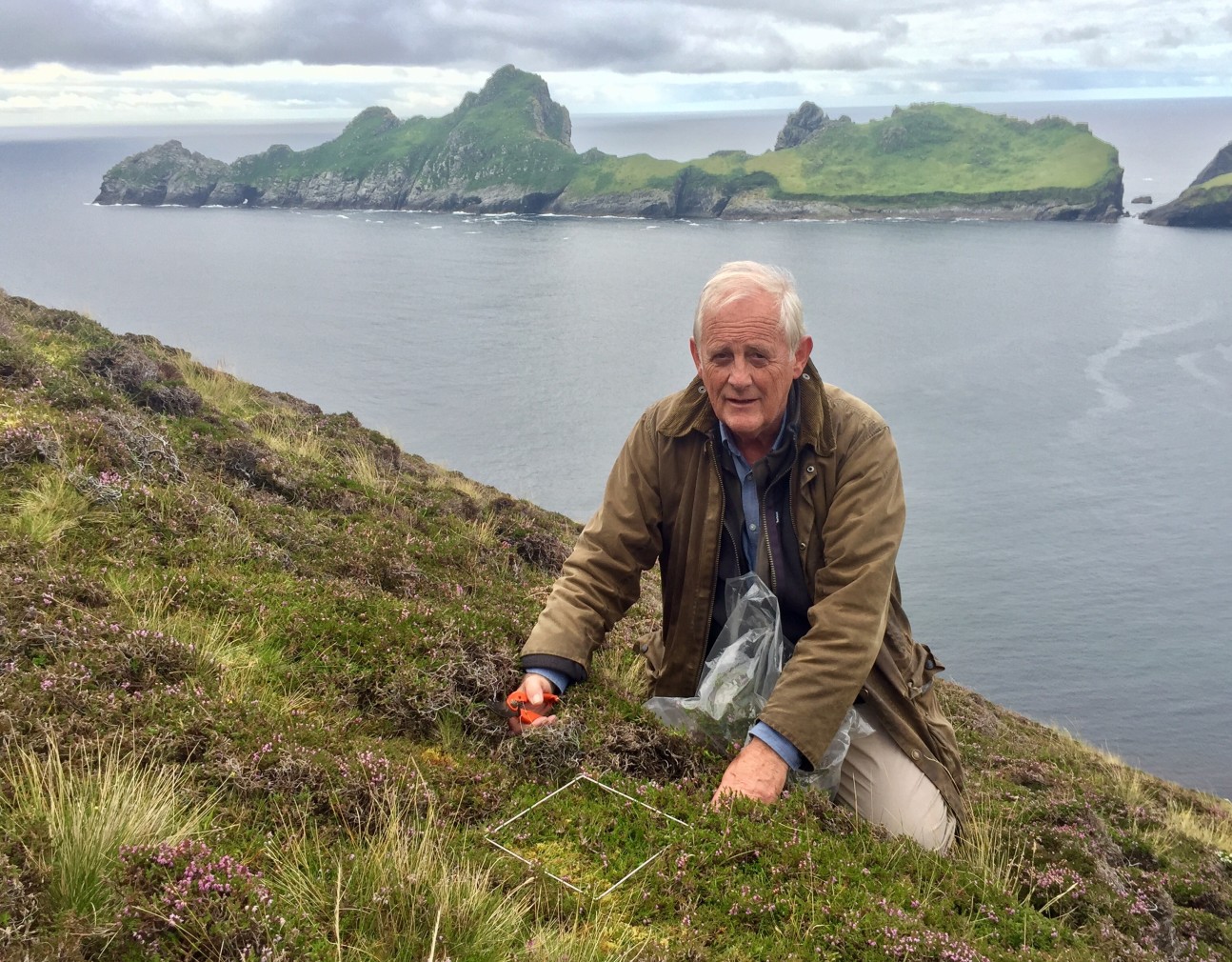 Mick Crawley sampling vegetation on a cliff by the sea