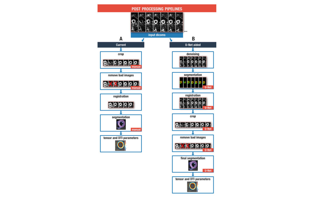 Proposed fully automated post-processing pipeline