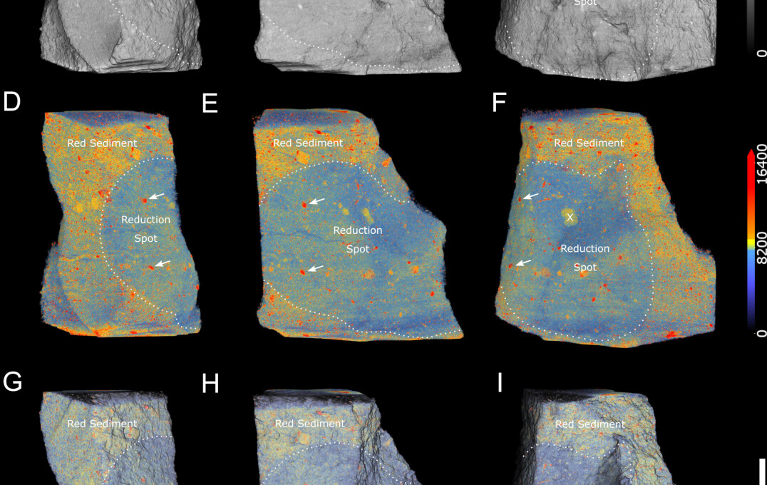 Image showing tomogrphic reconstructions of the red reduction spots.