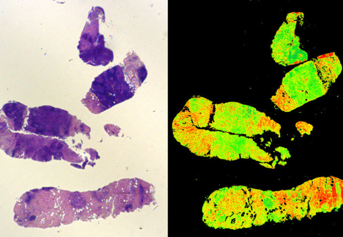 The same blobs in purple tones (left) and in green-to-red tones (right)