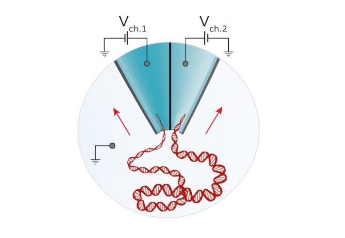 Illustration of a stand of DNA being pulled into two different needle-tip holes