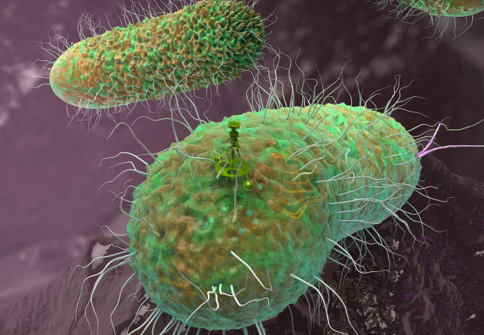 3D rendered image of bacterial cell equipped with feedback loop
