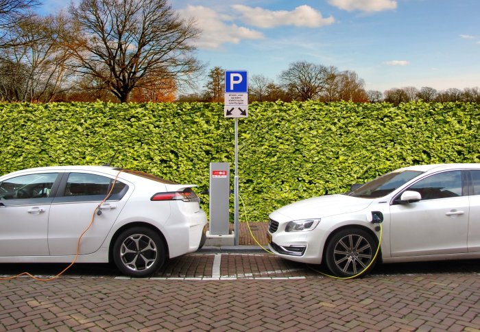 Two electric cars charging in front of a green hedge