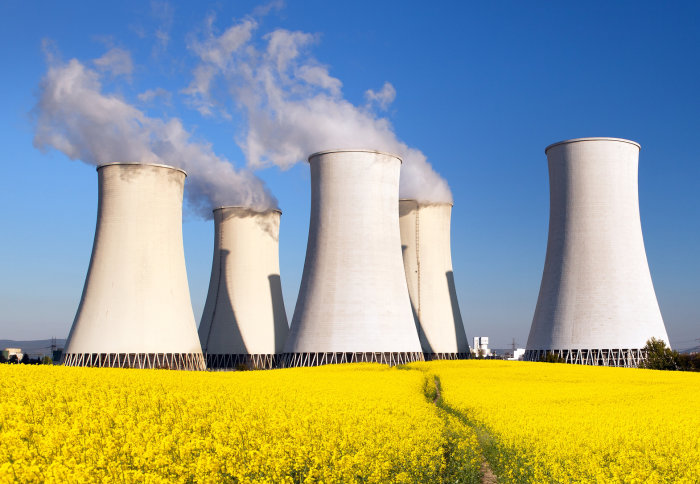 Five grey buildings of a nuclear power station stand at the end of a yellow field of flowers, with a path leading towards them. Four of the buildings have vapour coming from the top.