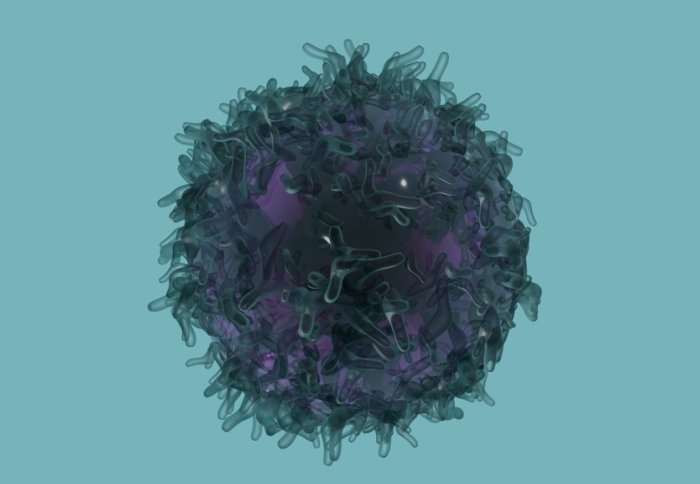 A lymphoma cell