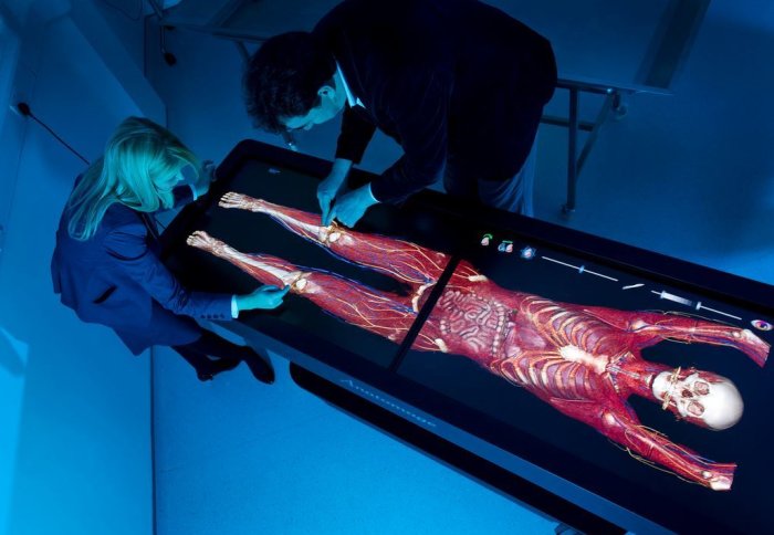 Innovations such as the Anatomage Table are at the cutting edge of medical education at the College