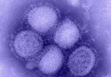 Flu virus could evolve resistance to pandemic drug