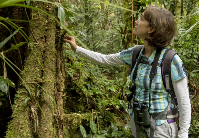 Dr Banks-Leite investigating a tree