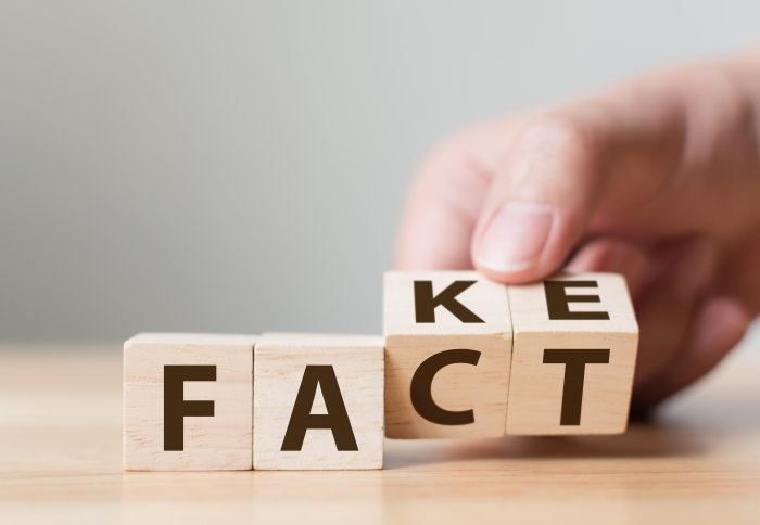 Letter blocks that spell our 'fact' and 'fake'