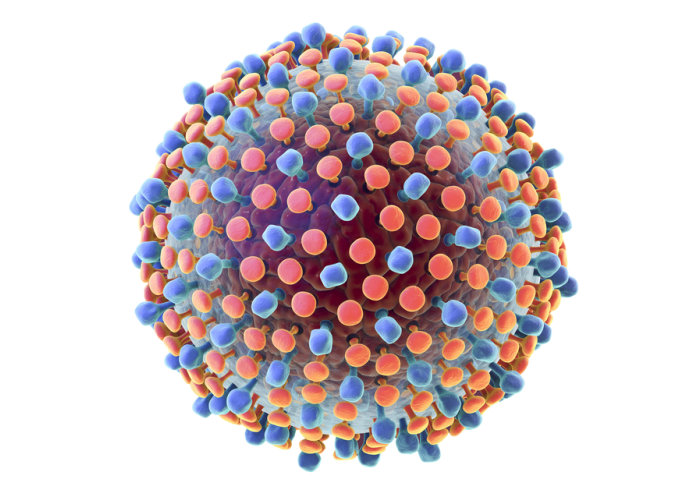 Hepatitis C virus