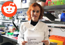 Cancer immunologist hosts live Q&A on Reddit