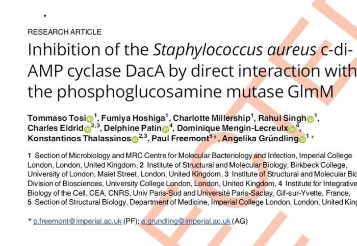 Grundling lab publication