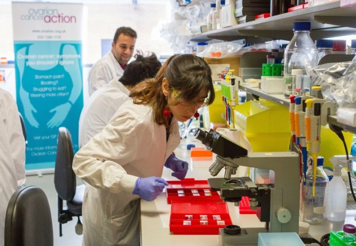 Work at the Ovarian Cancer Action Research Centre