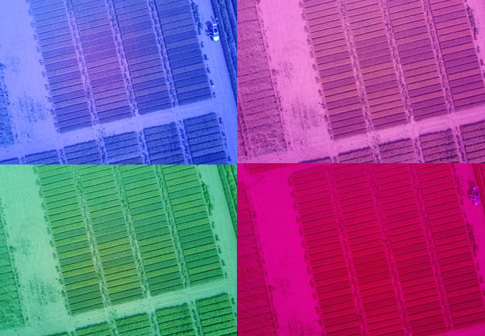 Four different-coloured images of the same field