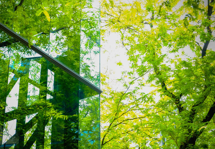 A glass building and green trees