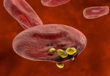 Smart design could prevent drug resistance in new malaria treatments