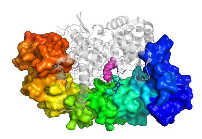 Human farnesyltransferase bound to a prenylated substrate