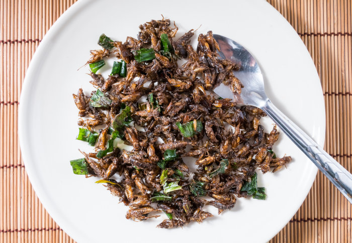 A plate of fried insects