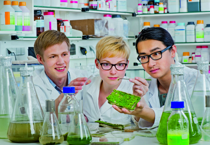 Photo of three TUM students working in the lab