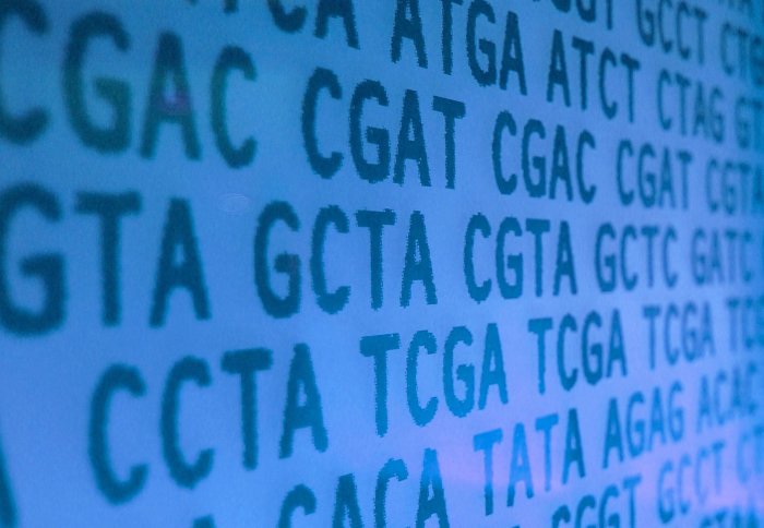 DNA sequences written out in letters