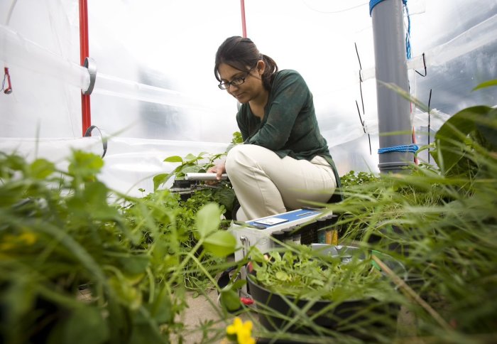 student crouching among potted plants