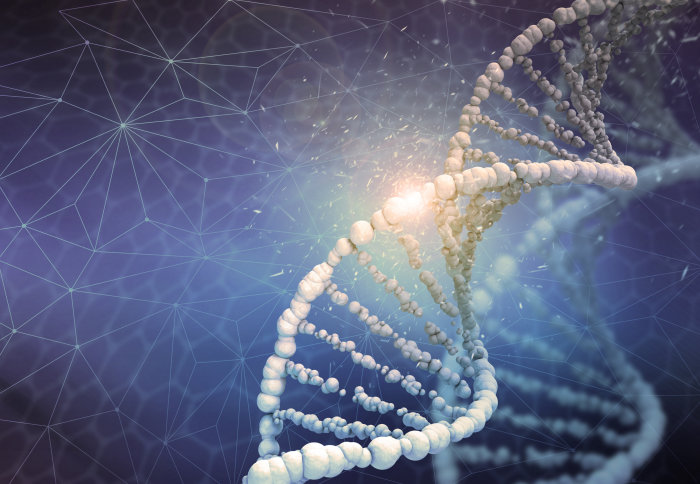 DNA structure Digital illustration in colour background. Image: Shutterstock