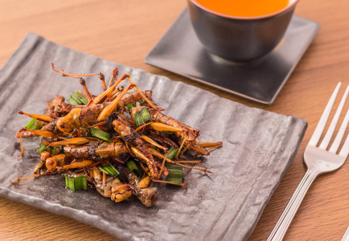 Crickets on a plate