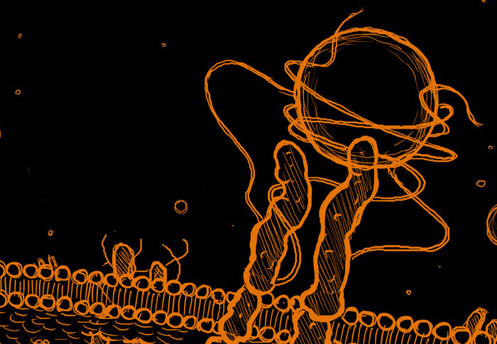 3D rendering showing syndecan-4 'hands' protruding from the cell membrane