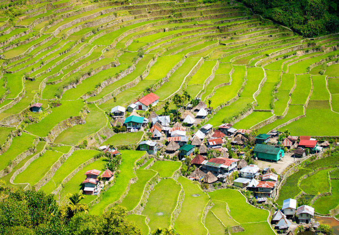 Village among rice terraces in the Philippines