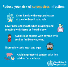 World Health Organization advice on coronavirus