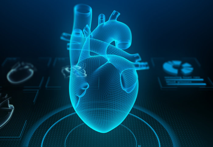 A 3D illustration of a heart