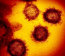 As the world responds to the continued spread of COVID-19, mathematical models are providing vital insights into the nature of the outbreak.