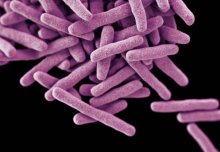 Enzyme targeted by TB antibiotic later stops the drug by destroying it