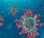 Around 9,000 non-COVID-19 deaths in England during three months of the pandemic would not have occurred had the pandemic not happened.

