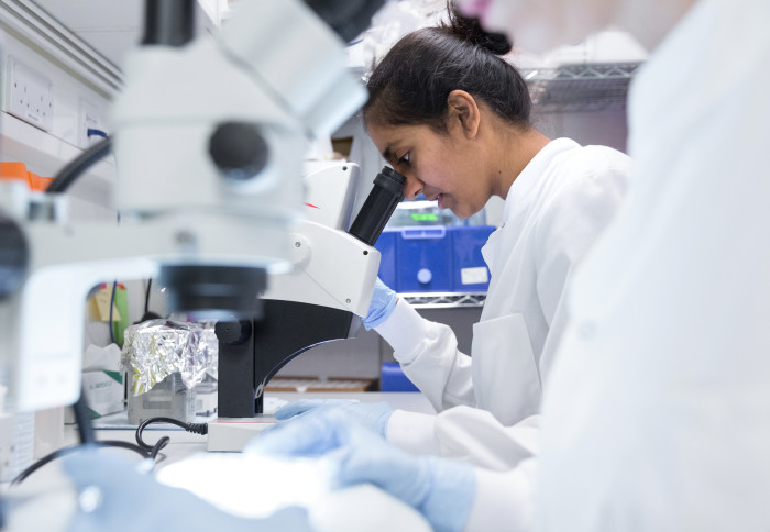 Young female student in a laboratory looking through microscope