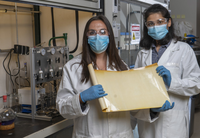 Two female scientists hold up the membrane. It's brown and looks like a shiny scroll of parchment.
