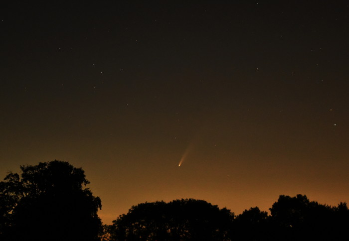 Comet Neowise in the night sky