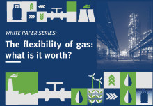 Launch of SGI White Paper 5 – The flexibility of Gas: What is it Worth?