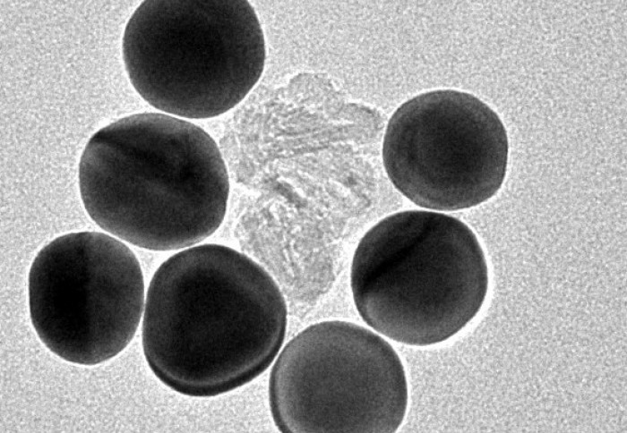 Microscope image of artificial nanoparticles